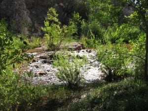 island in the stream