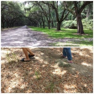 Wormsloe Plantation