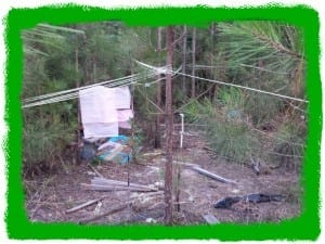 My kid's fort/house in back of our yard. Notice the tissue paper wall dividers...