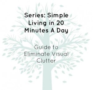 EliminateVisualClutter