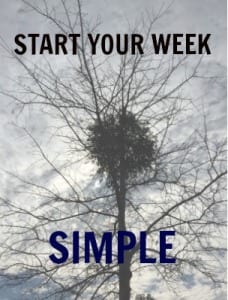 SIMPLEWEEK