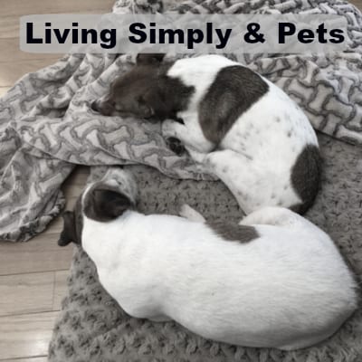 simple living and pets