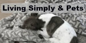 living simple, pets