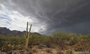 monsoon_monsoon-clouds